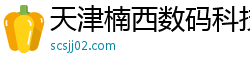 天津楠西数码科技有限公司