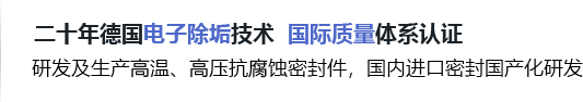 洛阳佰工工业密封有限公司