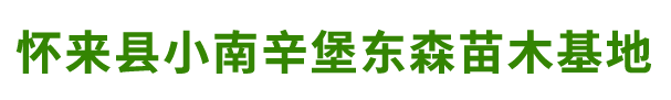 怀来县小南辛堡东森苗木基地