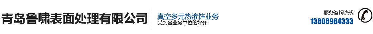 青岛鲁啸表面处理有限公司